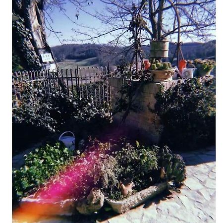 La Casina Di Ancicucco 1 Διαμέρισμα Σαν Τζιμινιάνο Εξωτερικό φωτογραφία